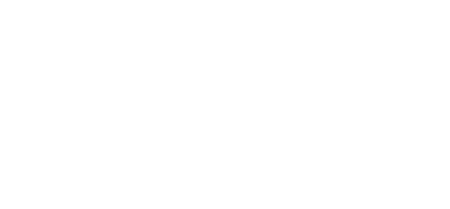 Finxs Colombia Disc
